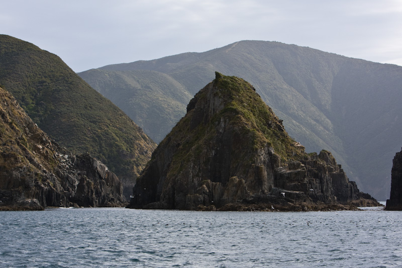 Island In Queen Charlotte Sound